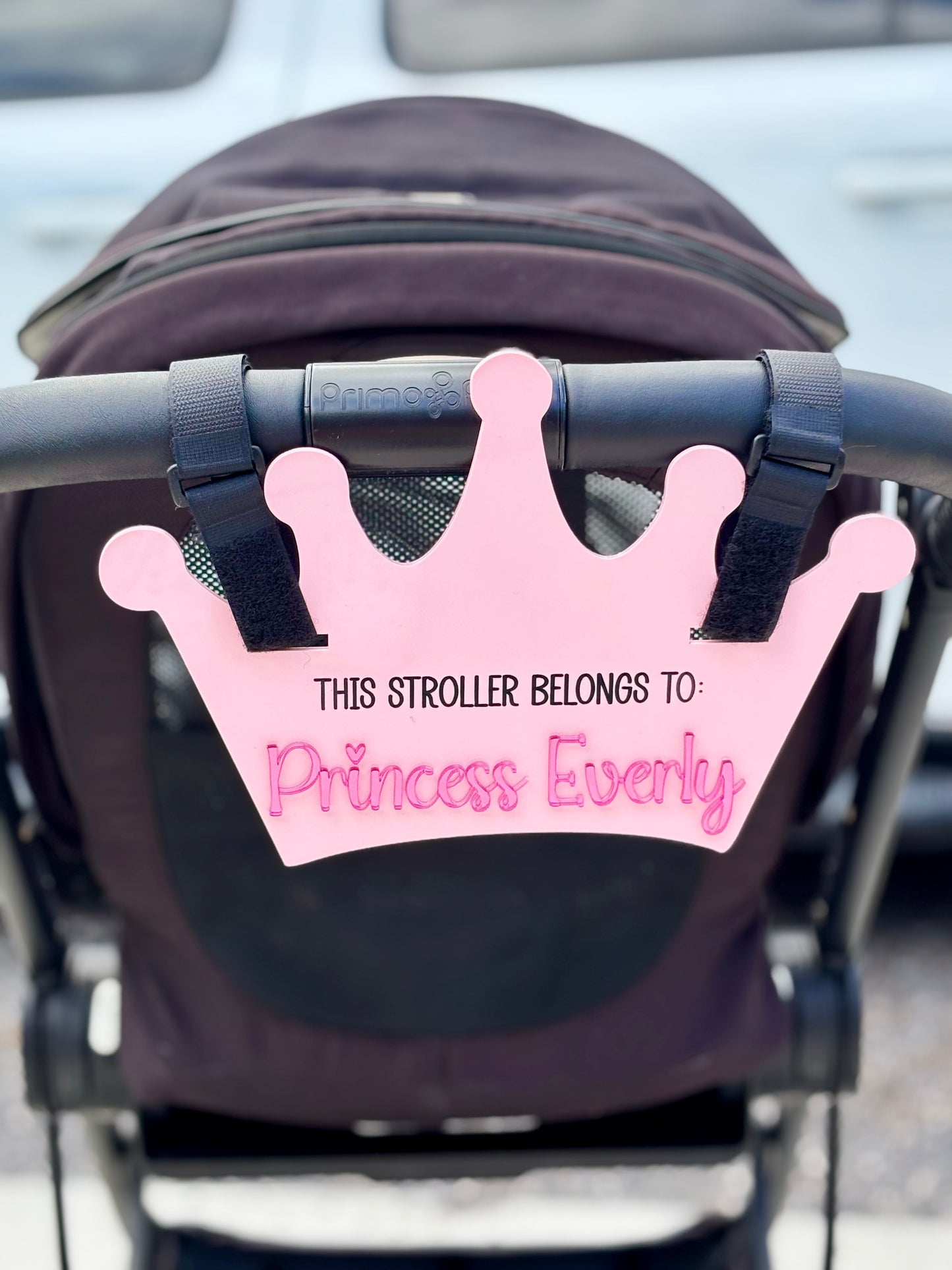 Princess Crown Stroller Tag